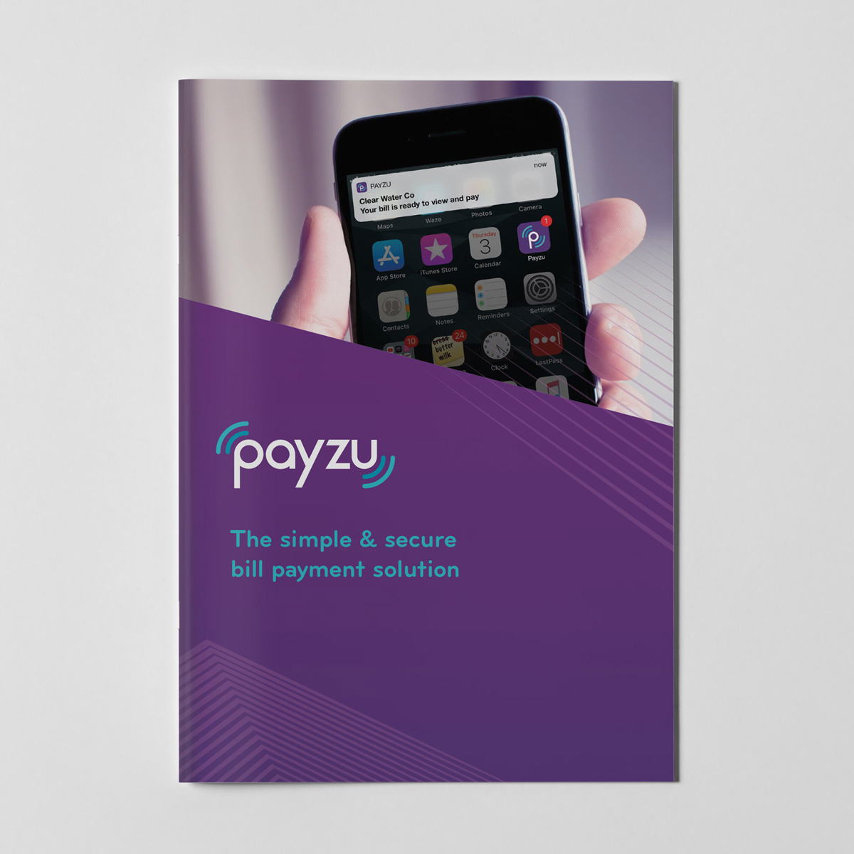 Payzu V2 1N