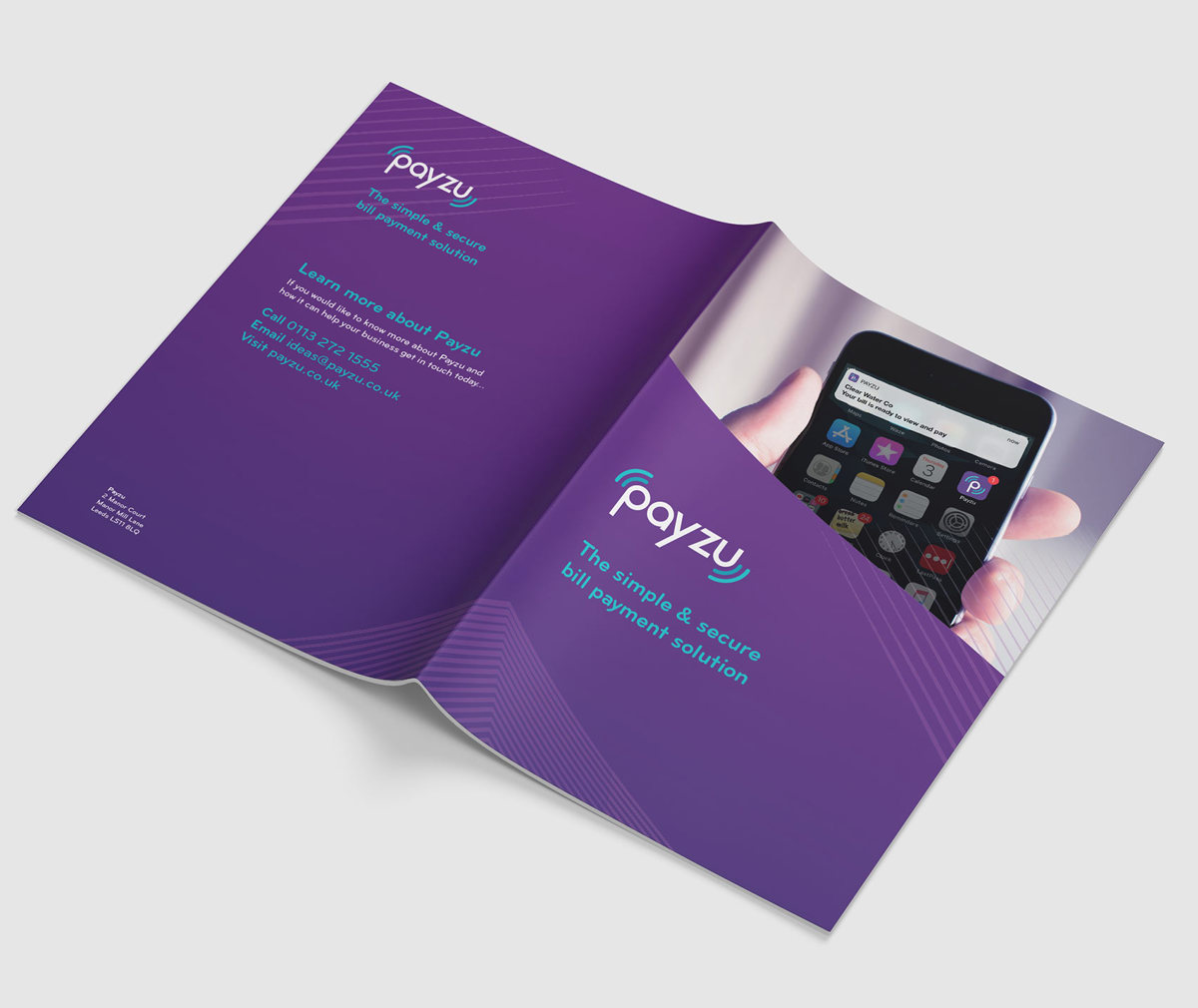 Payzu V2 5N