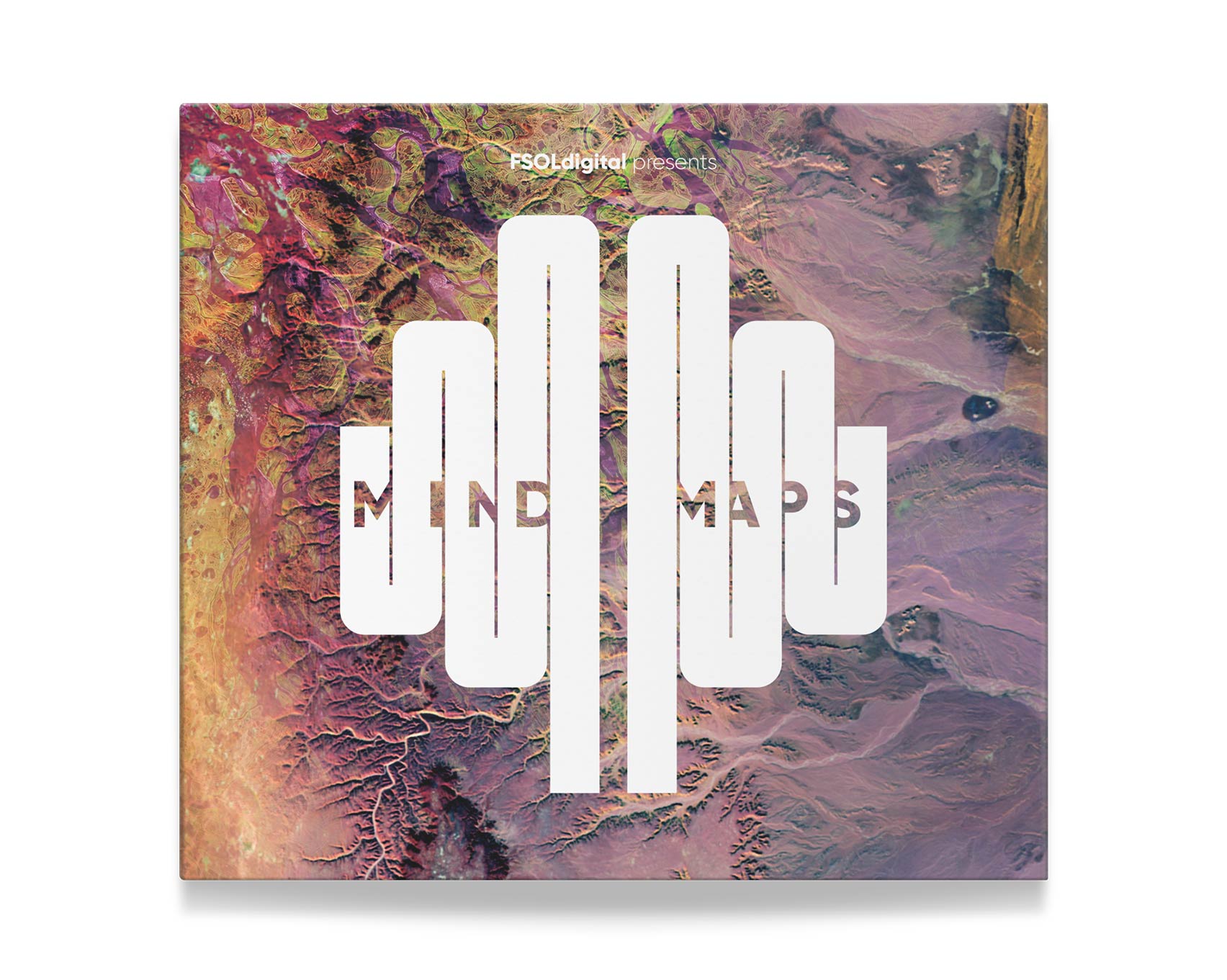 Mind Maps case front cover