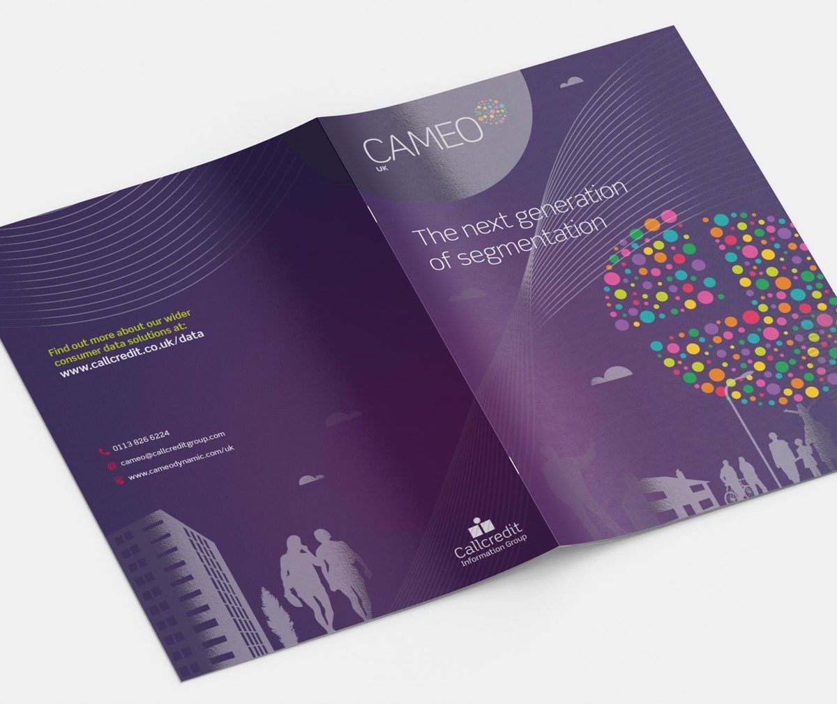 Cameo V3 8