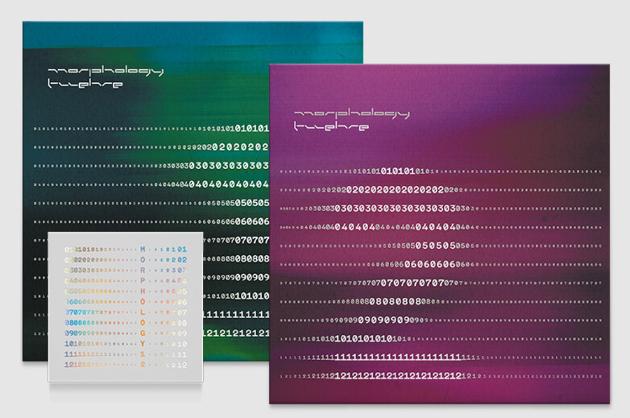 Morphology — Twelve